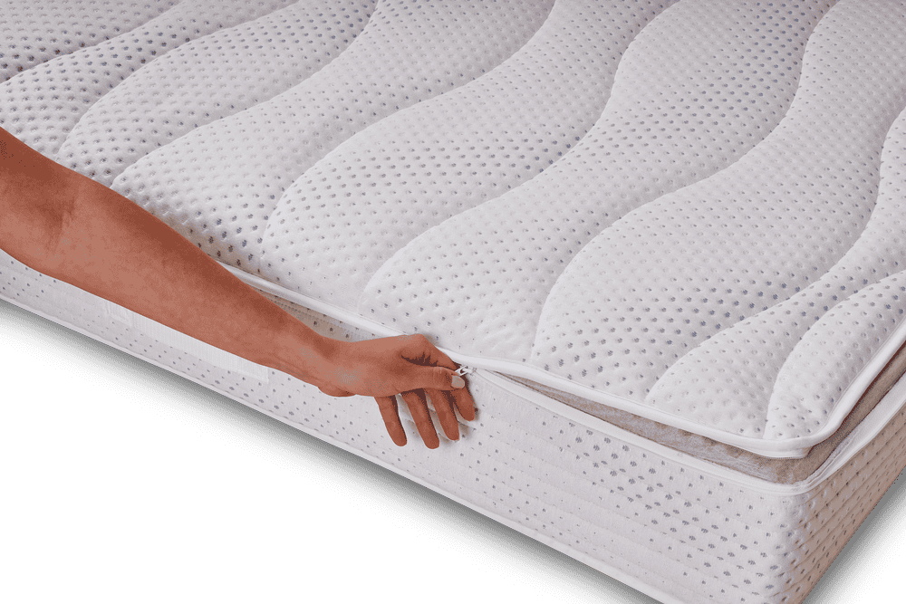 SS+ Pro Comfort - BESTSELLER 2025